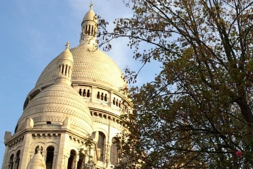 Une rose éclose à Montmartre