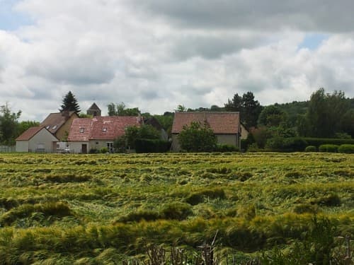 après l'orage; dégâts dans les champs