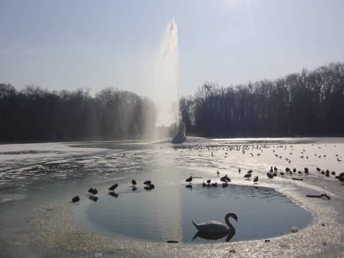 Bassin du parc de Sceaux