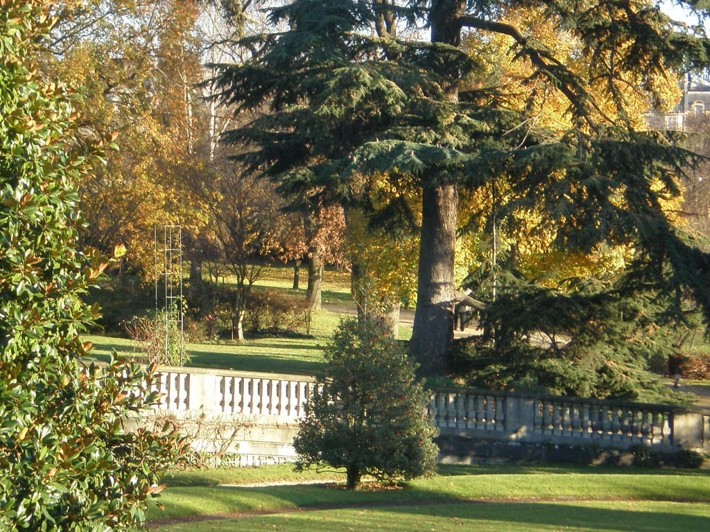 Bel après-midi de fin d'automne
