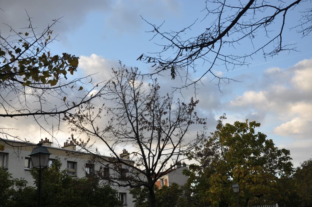 Bleu-blanc-gris