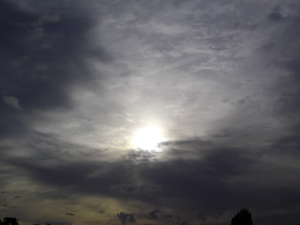 camouflage de soleil