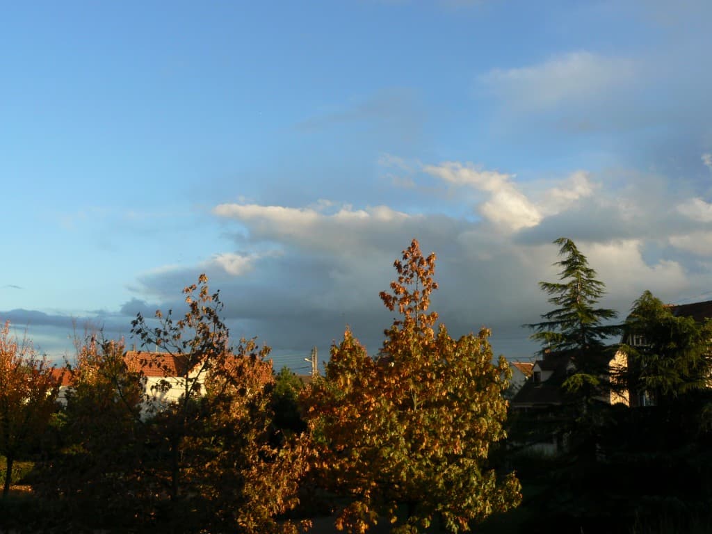 Ciel et nature en harmonie automnale