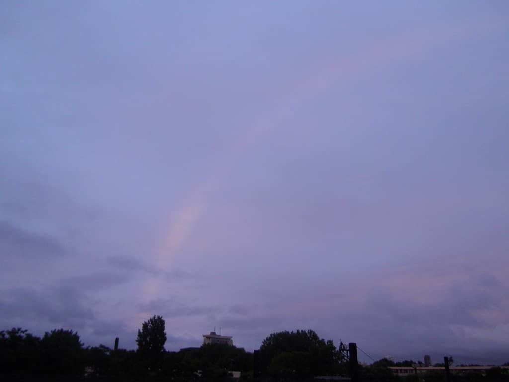 comme un arc en ciel rose