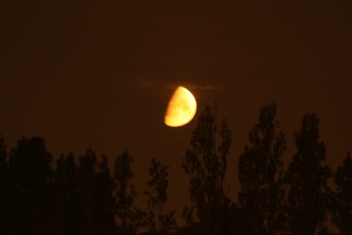 couchant de lune