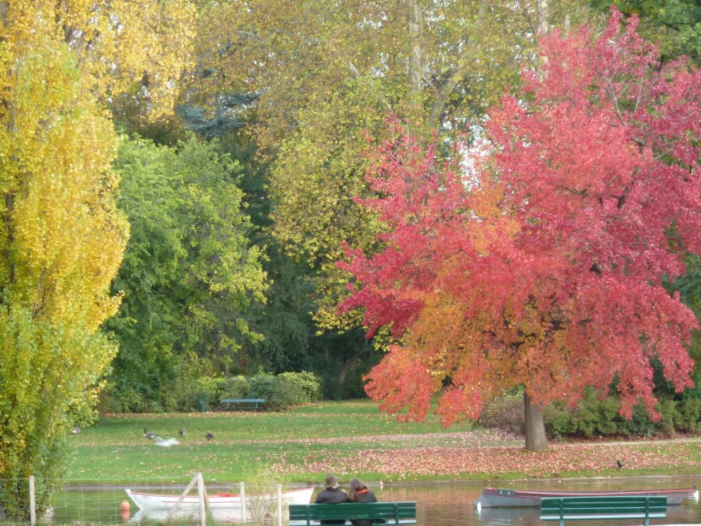 Couleurs d'automne