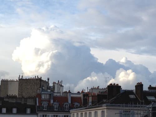 Cumulus congestius 