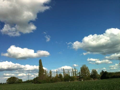 Cumulus, ou moutons