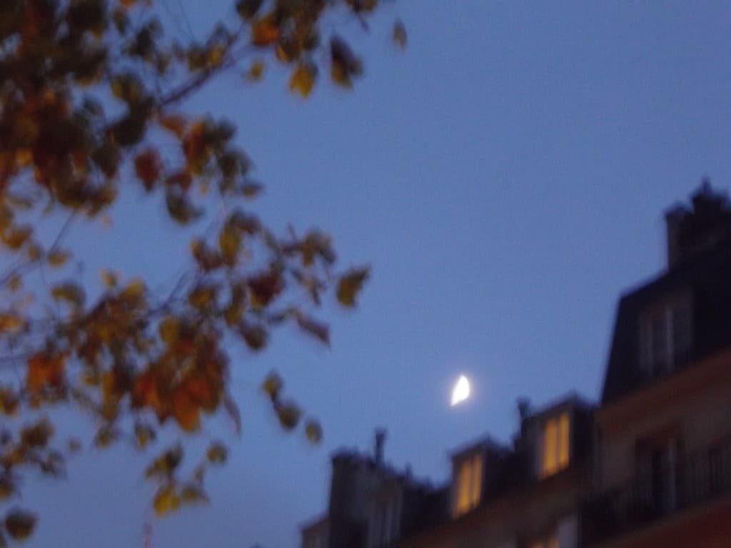 début de nuit sur les toits