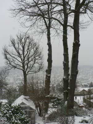 depuis les terrasses de Villebon