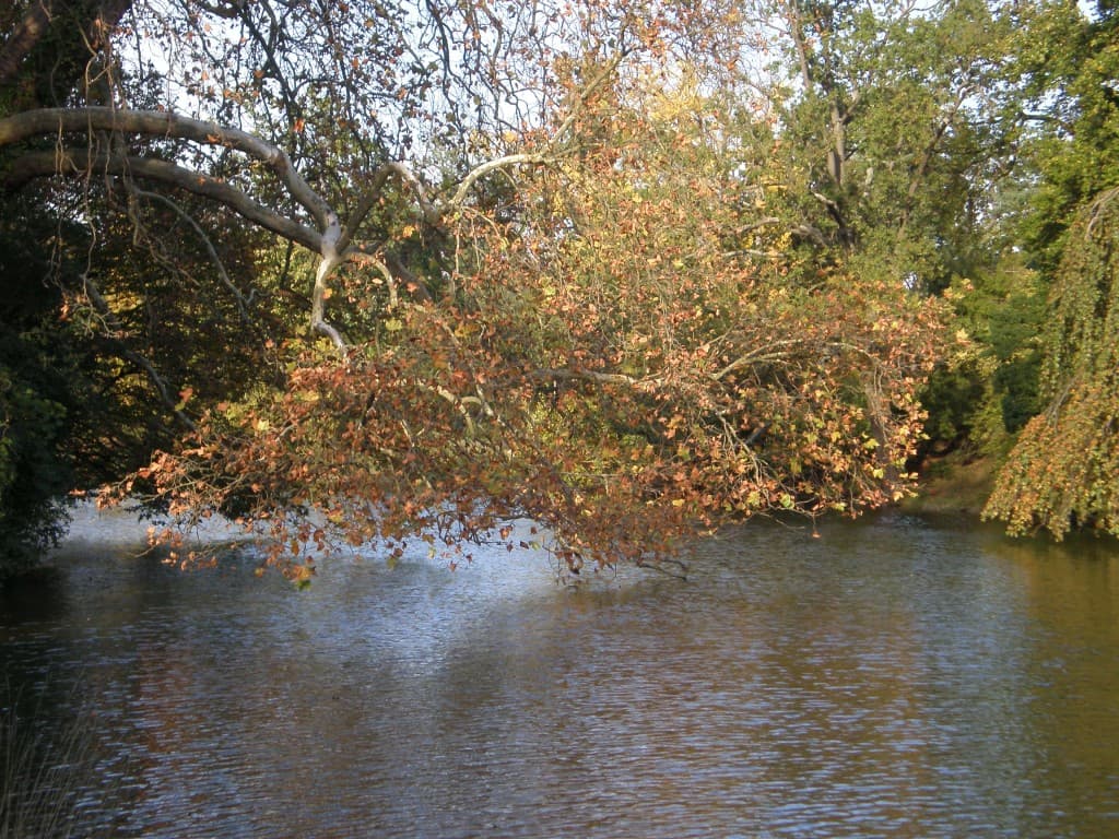 Derniers feux d'Octobre