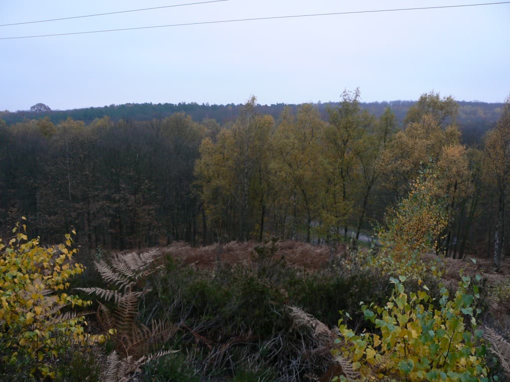 Entre Automne et Hiver