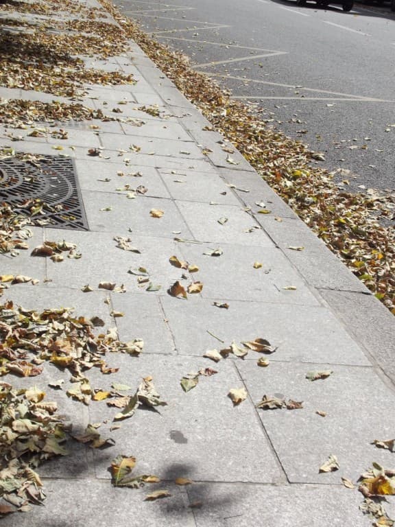 Est-ce la fin de l'été ?