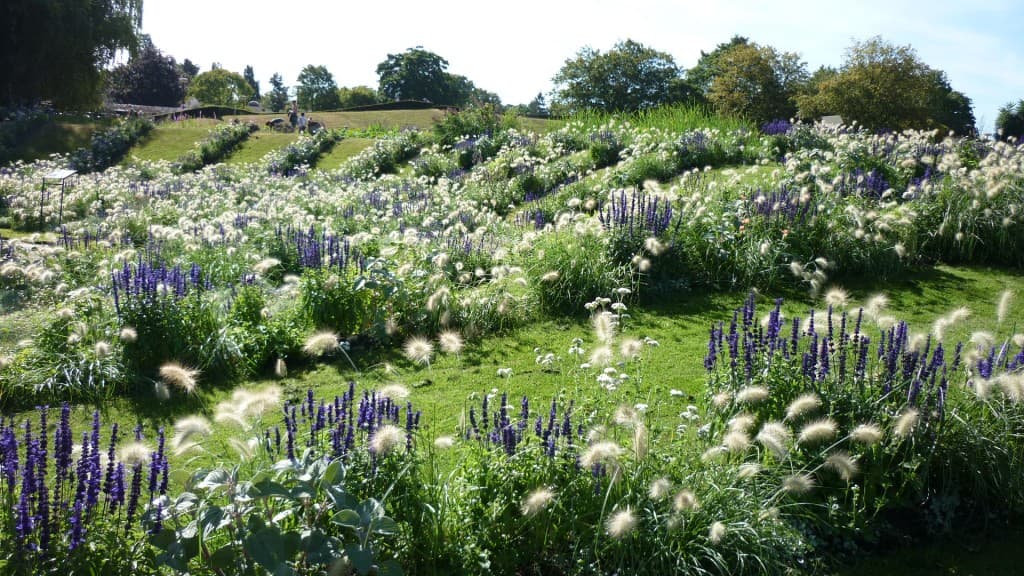 ETE CHAMPETRE....