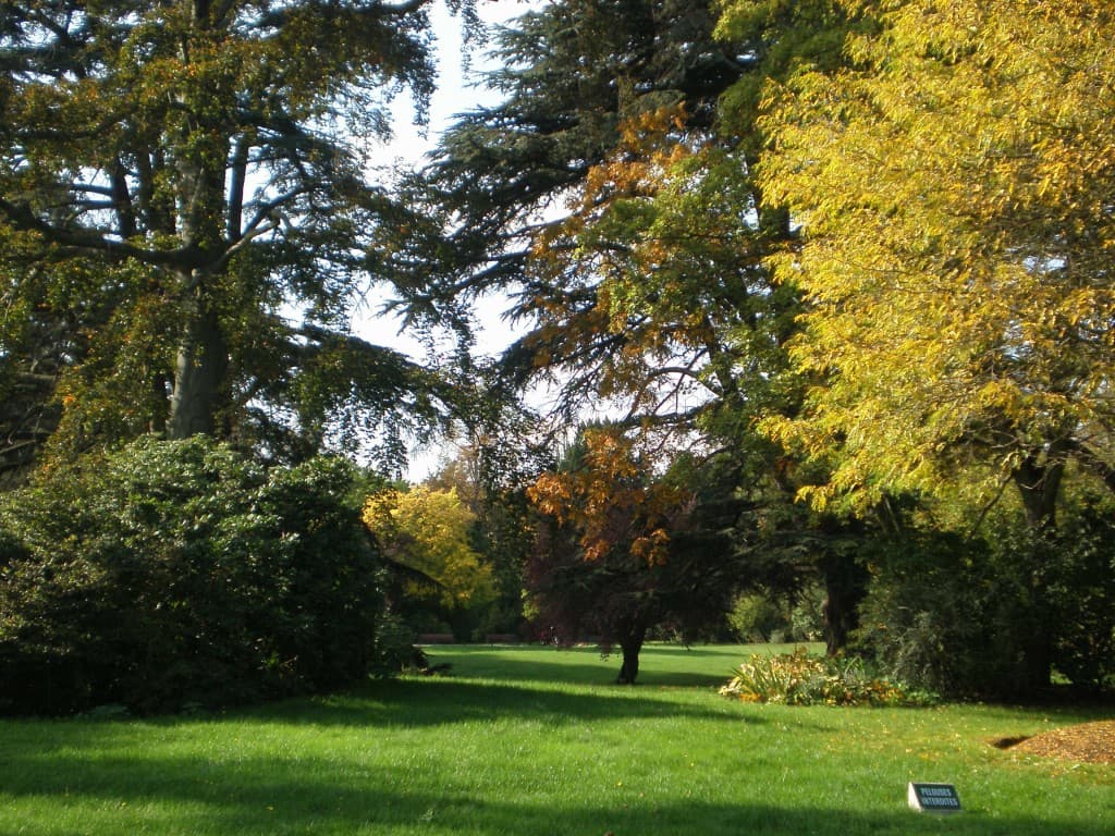 Eté indien à Saint Cloud