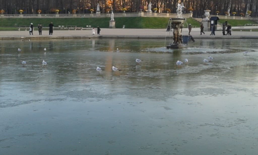 Futurs champions de patinage