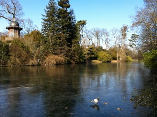 Glace noire au bois de Boulogne