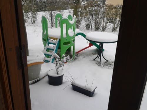 Jardin
