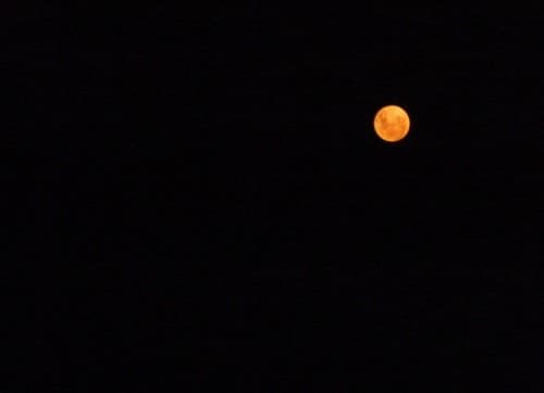 La lune rouse dans la nuit noire