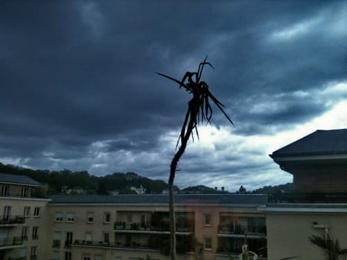 La pluie est bonne, pour les plantes...
