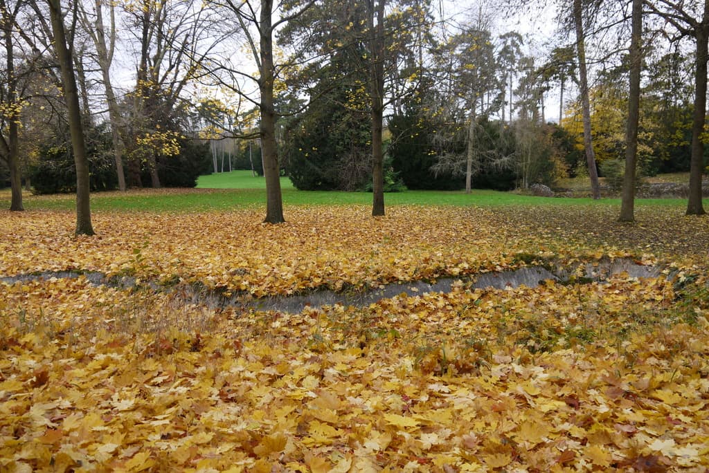Le Parc de Bois-Préau