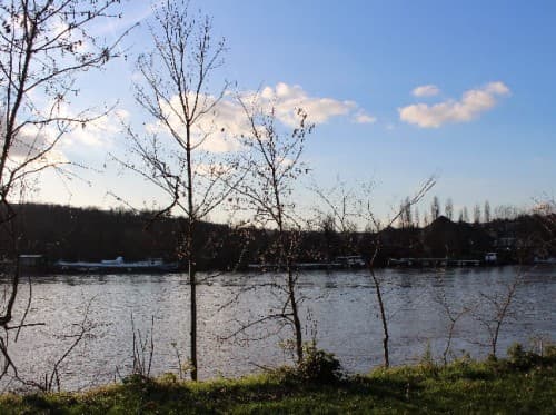 Les bords de Seine par beau temps
