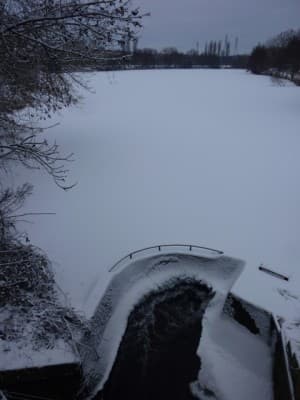 Marcoussis - Etang du Gué
