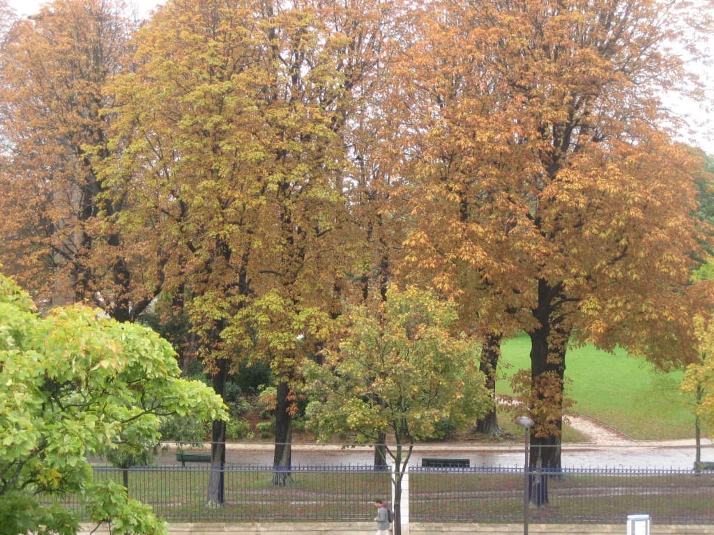 Meteo Station Montsouris