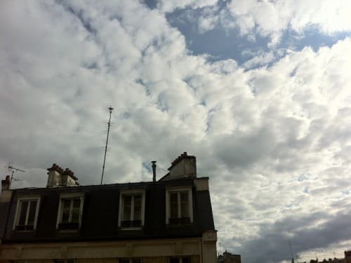 moutons du soir