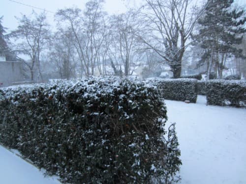 Neige 2012