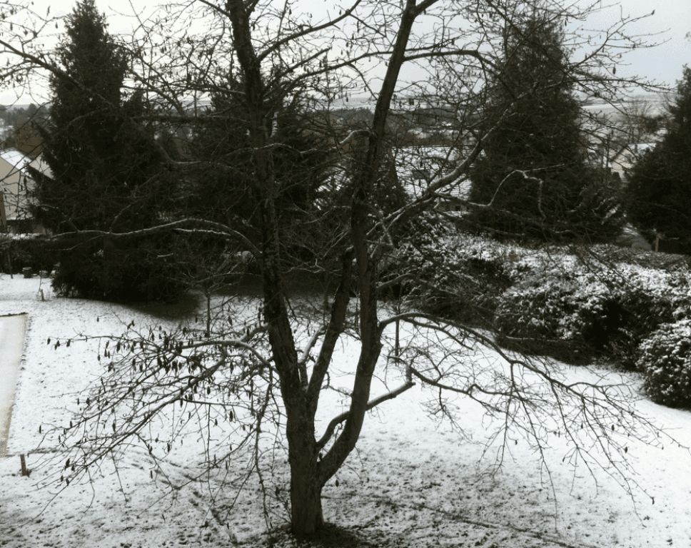 Neige a 10h.. Ca fond