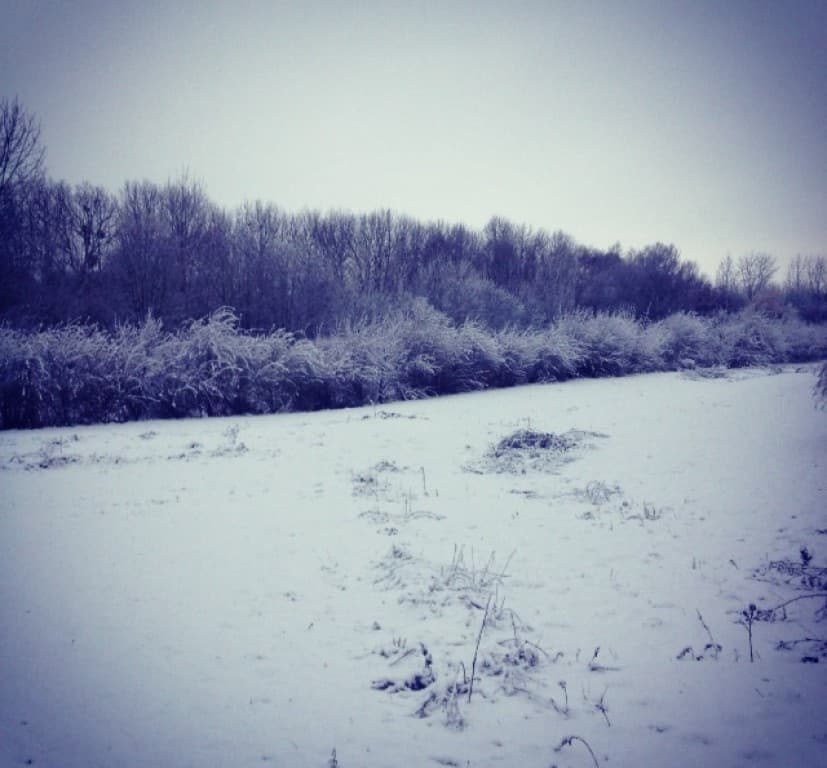 Neige