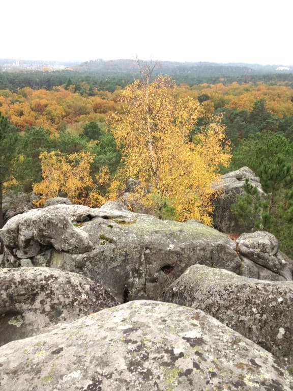 Panorama perspective