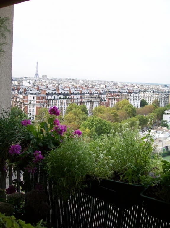 panorama