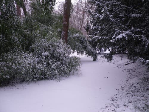 Parc du Château