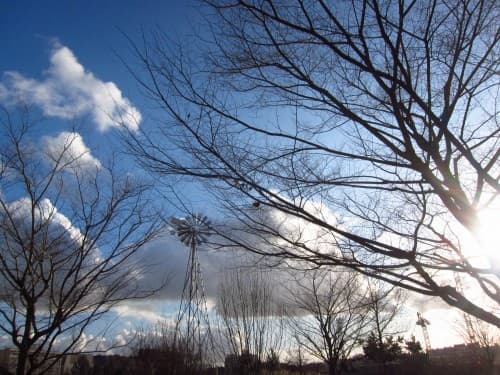 Parc Martin-Luther-King (Paris 17e) 