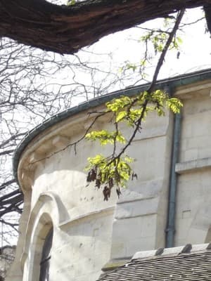 Planté en 1601, toujours vivant