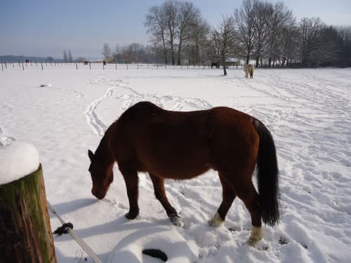 Plateau d'Orvilliers (78)