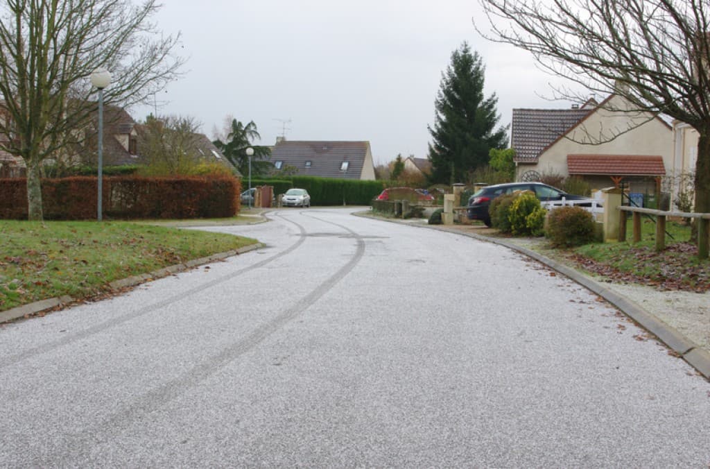 Première neige au sol