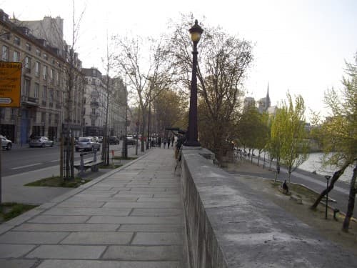 premières feuilles