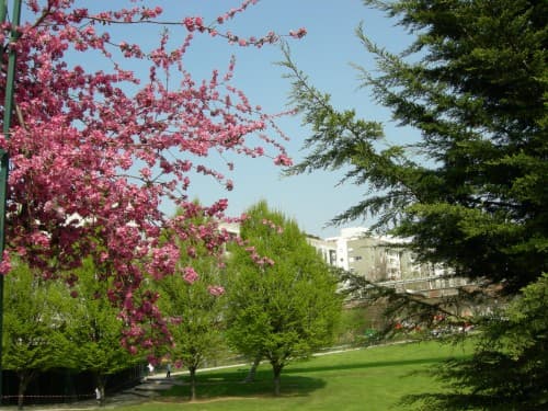 Printemps au Jardin de Reuilly