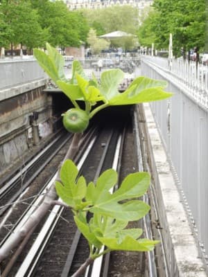 Printemps dans le 12éme