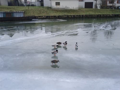 Rendez-vous sur la glace