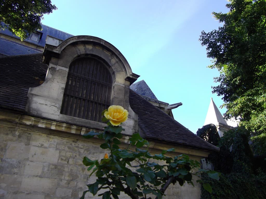 rose de Paris