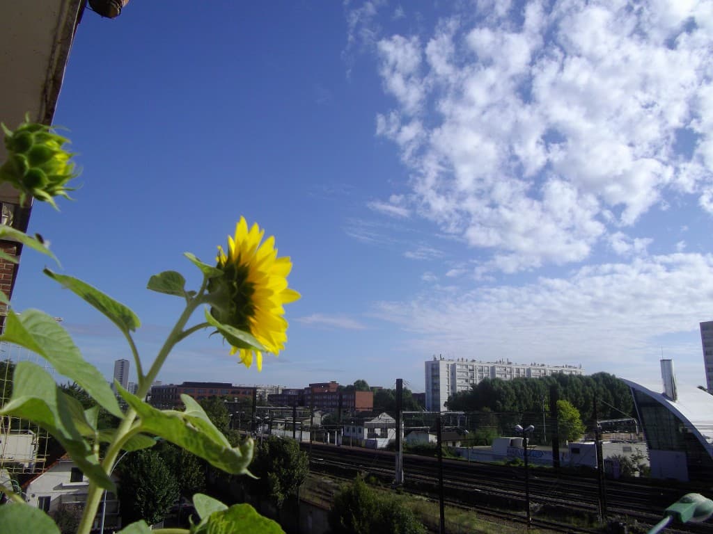 soleil de balcon