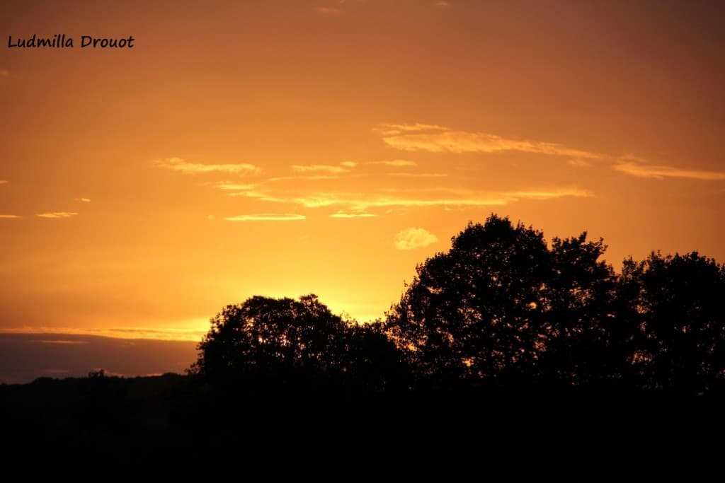 Soleil du soir
