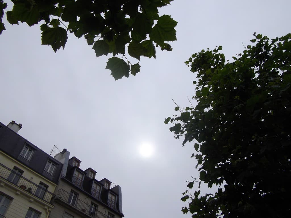 soleil timide