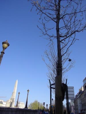 st Geneviève et les lampadaires