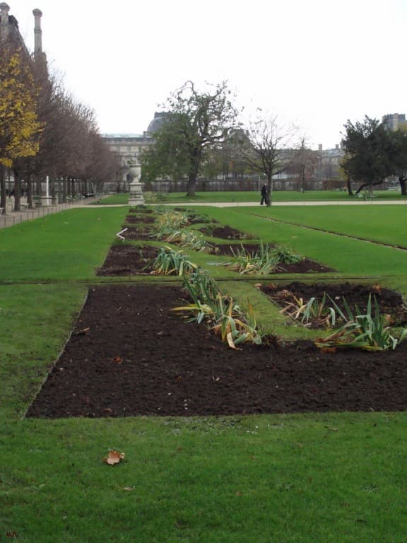 Travaux d'automne aux Tuileries (MJL)