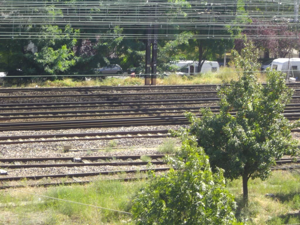 un poirier entre les rails